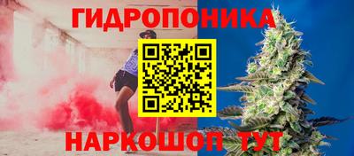 jwh Нальчик